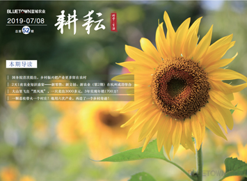 918博天堂·(中国集团)最新官方网站