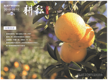 918博天堂·(中国集团)最新官方网站