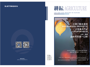918博天堂·(中国集团)最新官方网站