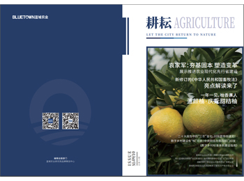 918博天堂·(中国集团)最新官方网站